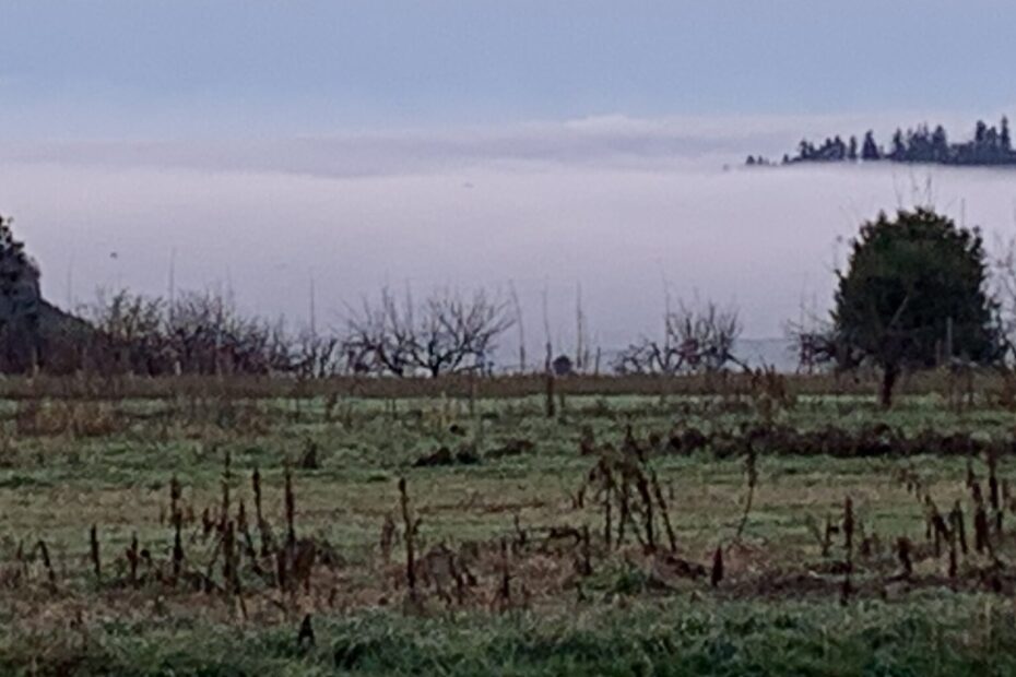 Die Natur stirbt, es ist grau, November, Regen. Nichts vermag uns vor der Depression zu schützen. Nur dieses eine Lächeln kann es.