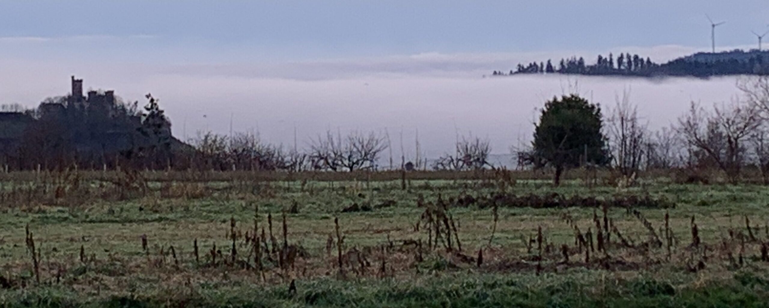 November Rain Die Natur stirbt, es ist grau, November, Regen. Nichts vermag uns vor der Depression zu schützen. Nur dieses eine Lächeln kann es.