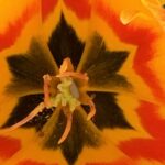 Mein Leben Wenn Deine Seele ebenso in Trümmern liegt wie dein Leben, kannst Du weinen. Und fluchen. Oder Du liebst Dich dafür, denn Du bist erwählt.