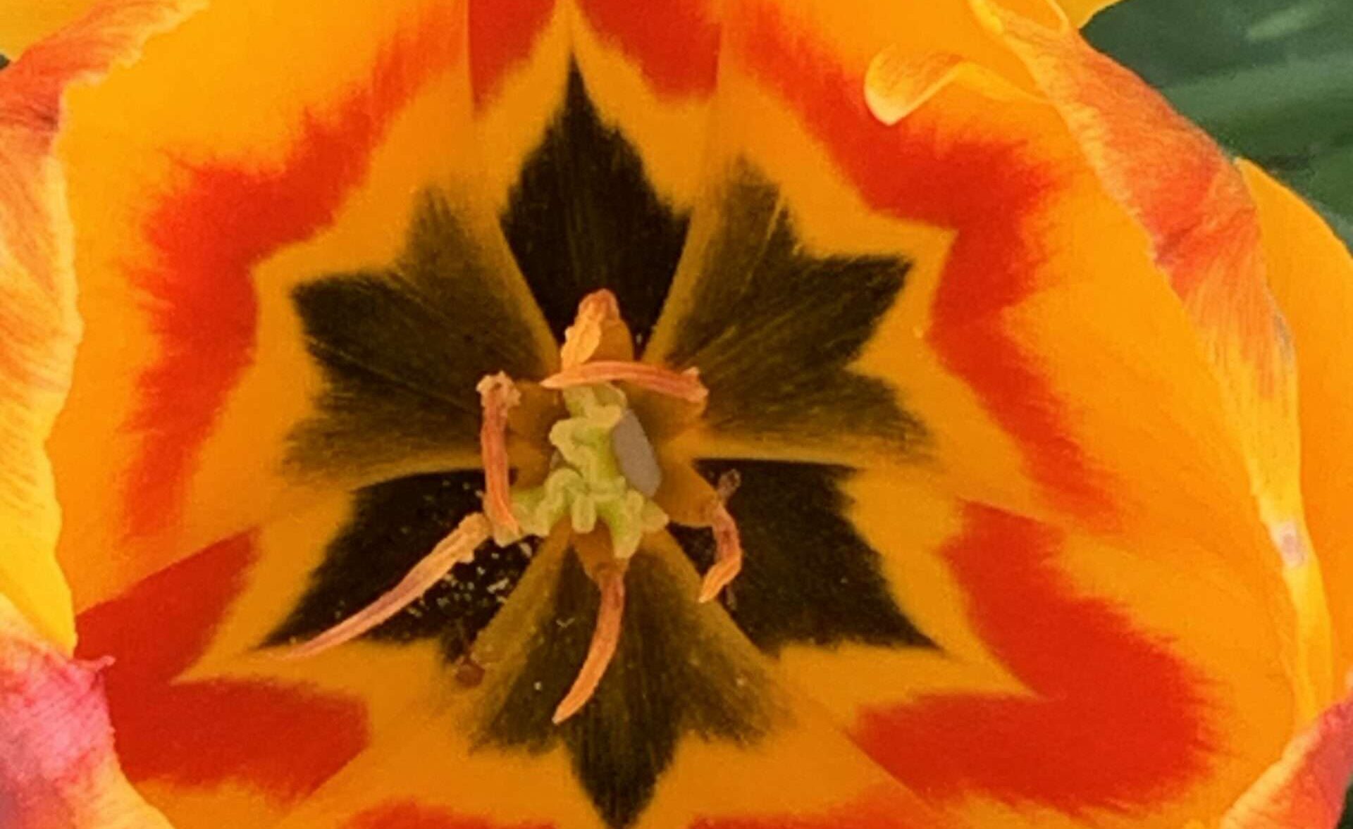 Wenn Deine Seele ebenso in Trümmern liegt wie dein Leben, kannst Du weinen. Und fluchen. Oder Du liebst Dich dafür, denn Du bist erwählt.