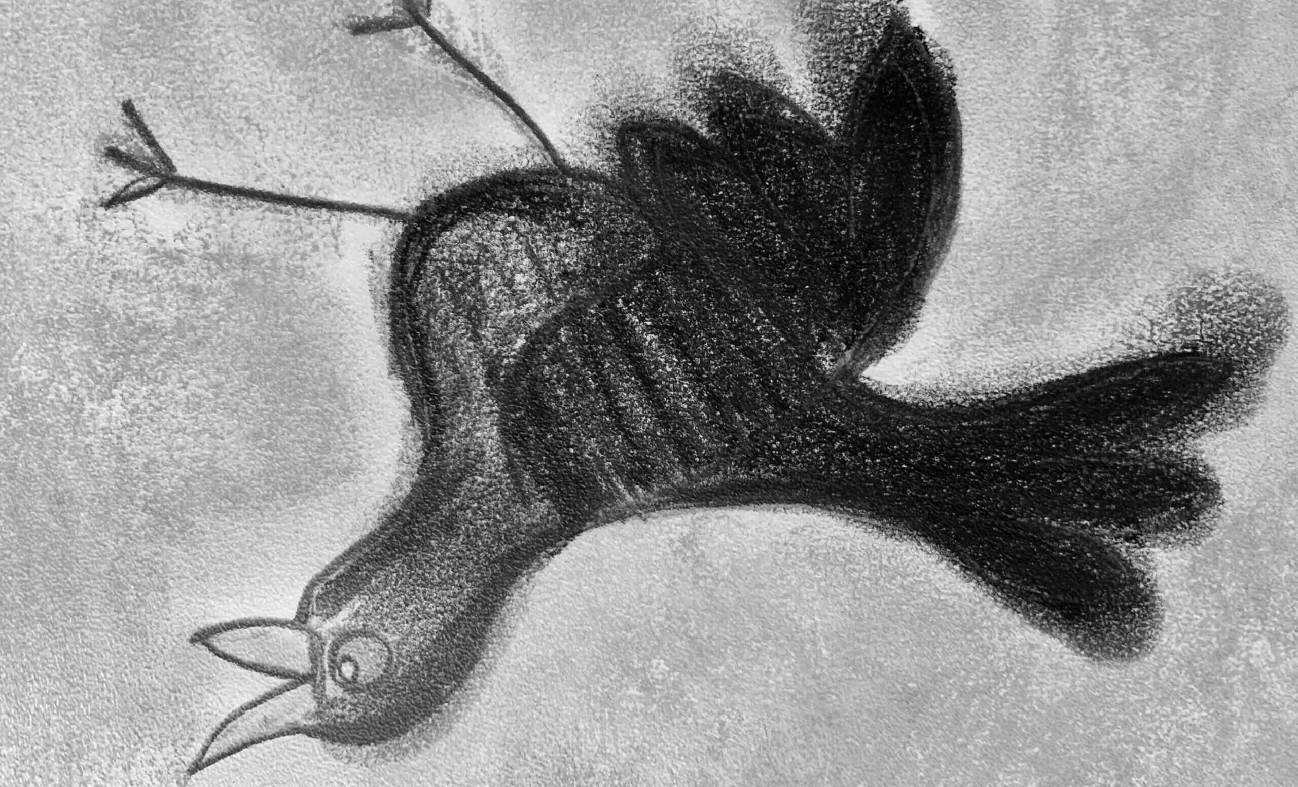 No-Haiku: Schwarzer Schatten auf dem Weg, das sieht bedrohlich aus, vor allem, wenn er sich bewegt. Was ist da bloß los? Was hilft? Flucht?