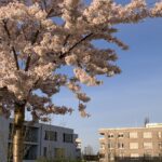 Frühling Du kommst aus dem Frühling und gehst mit der Sonne, ich komme aus dem Winter meiner Gefühle. Wir treffen uns kurz.