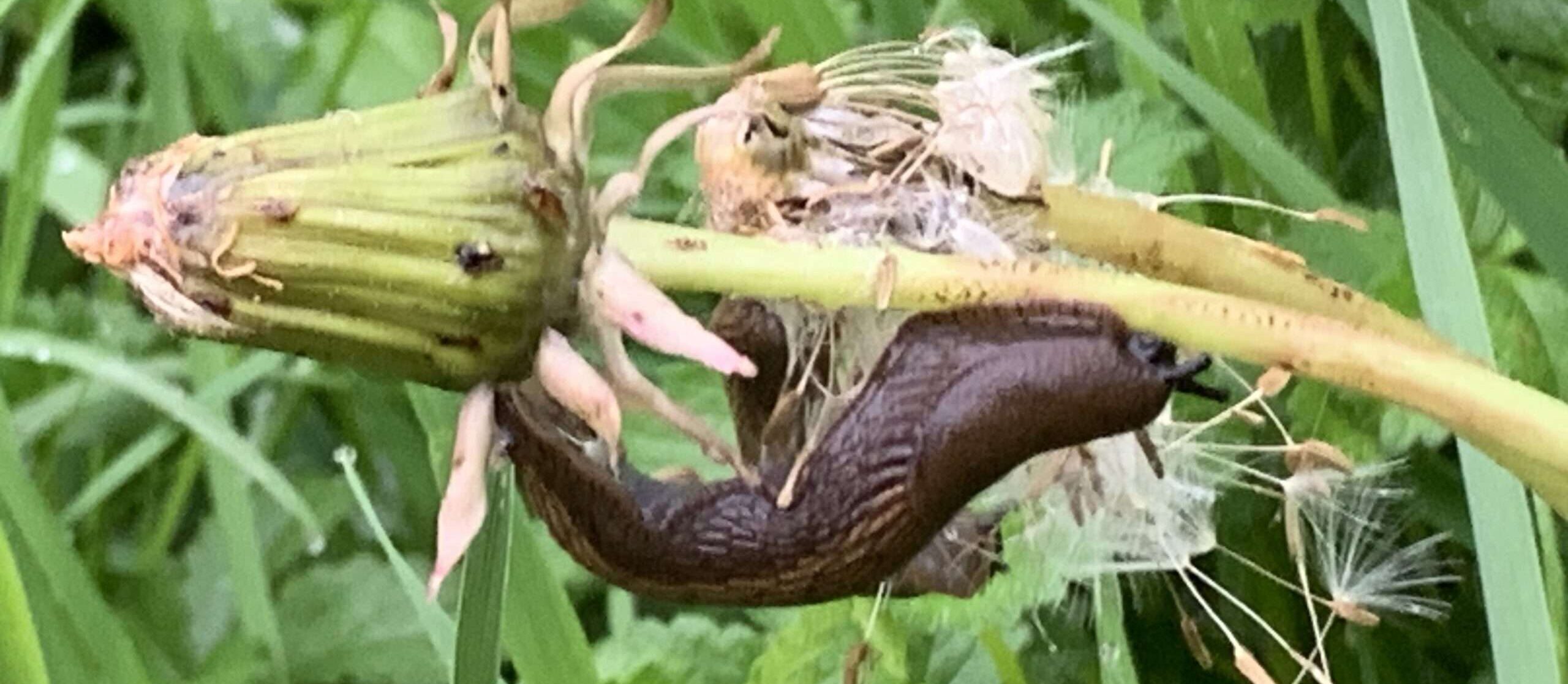 Regen streichelt mein Gemüt und schenkt mir ein Zuversicht. Aber nur für kurze Zeit, dann wirst Du mir sagen, dass unsre Liebe keine Zukunft hat.