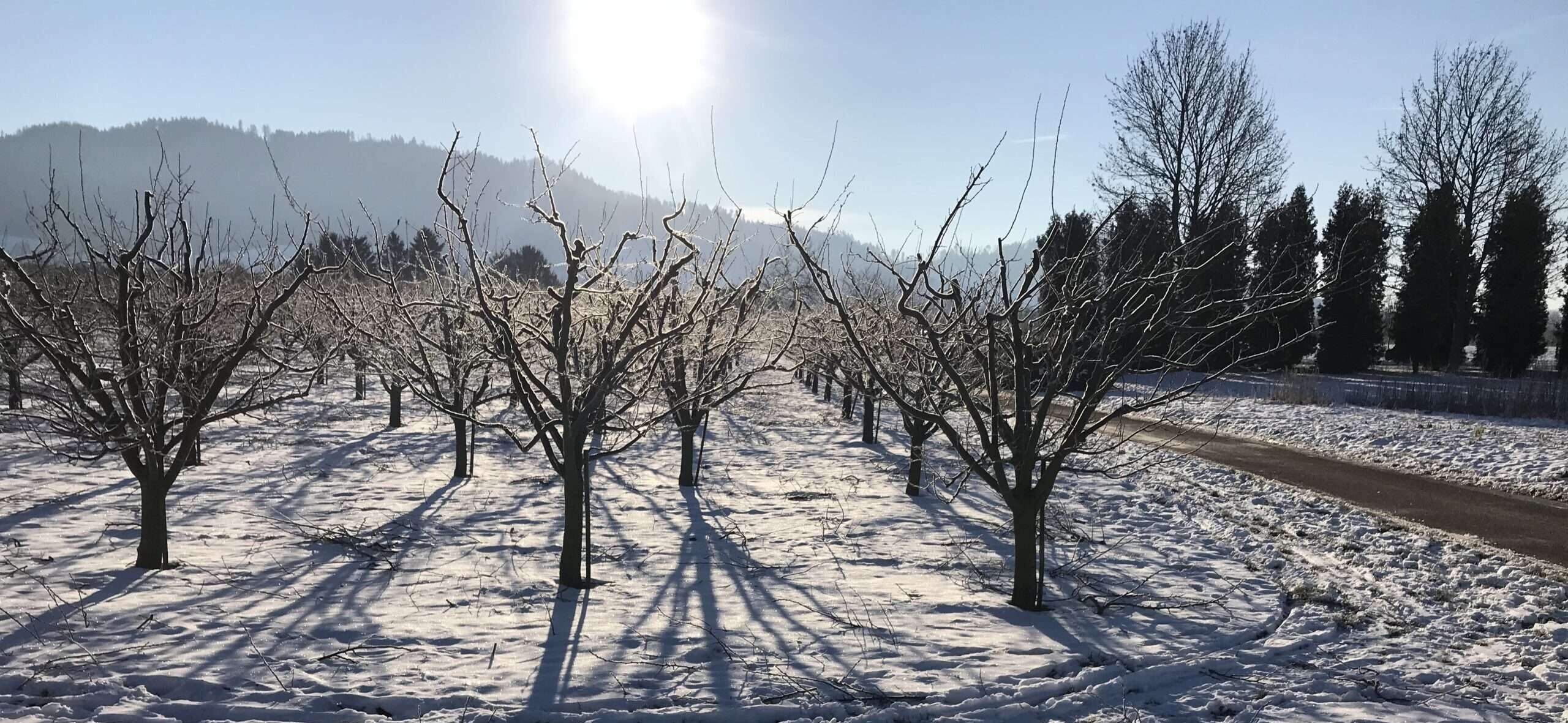 Wenn die Liebe erfriert, muss nicht der Winter daran Schuld sein. Der ist nur Dein Handlanger, wie ich es war. Doch jetzt bin ich frei.