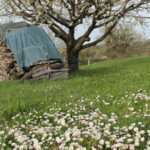 Manchmal hilft Sanftmut gegen den wütenden Schmerz des Verlassenwerdens. Die große Liebe stirbt und ist nur ein böser Schatten.