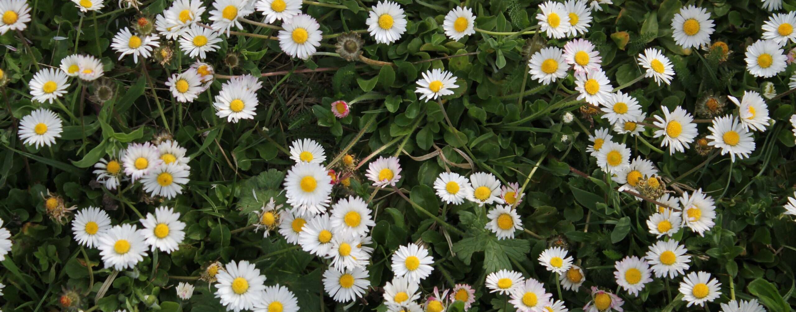 Deine Liebe Die Liebe finden wir an vielerlei Orten, am liebsten aber im eigenen Herzen. Dort soll sie einziehen und dort gehört sie hin. Das ist ein kleiner Gottesdienst.