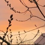 Gedicht: Unsre Liebe ist tot, aber ich trage meine Lieder trotzig vor. Der Wind reißt sie weg und verteilt ihre Fetzen. Eine Krähe füttert ihre Brut damit.