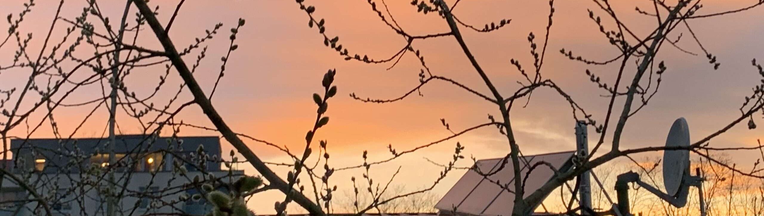 Letzter Wunsch Gedicht: Unsre Liebe ist tot, aber ich trage meine Lieder trotzig vor. Der Wind reißt sie weg und verteilt ihre Fetzen. Eine Krähe füttert ihre Brut damit.