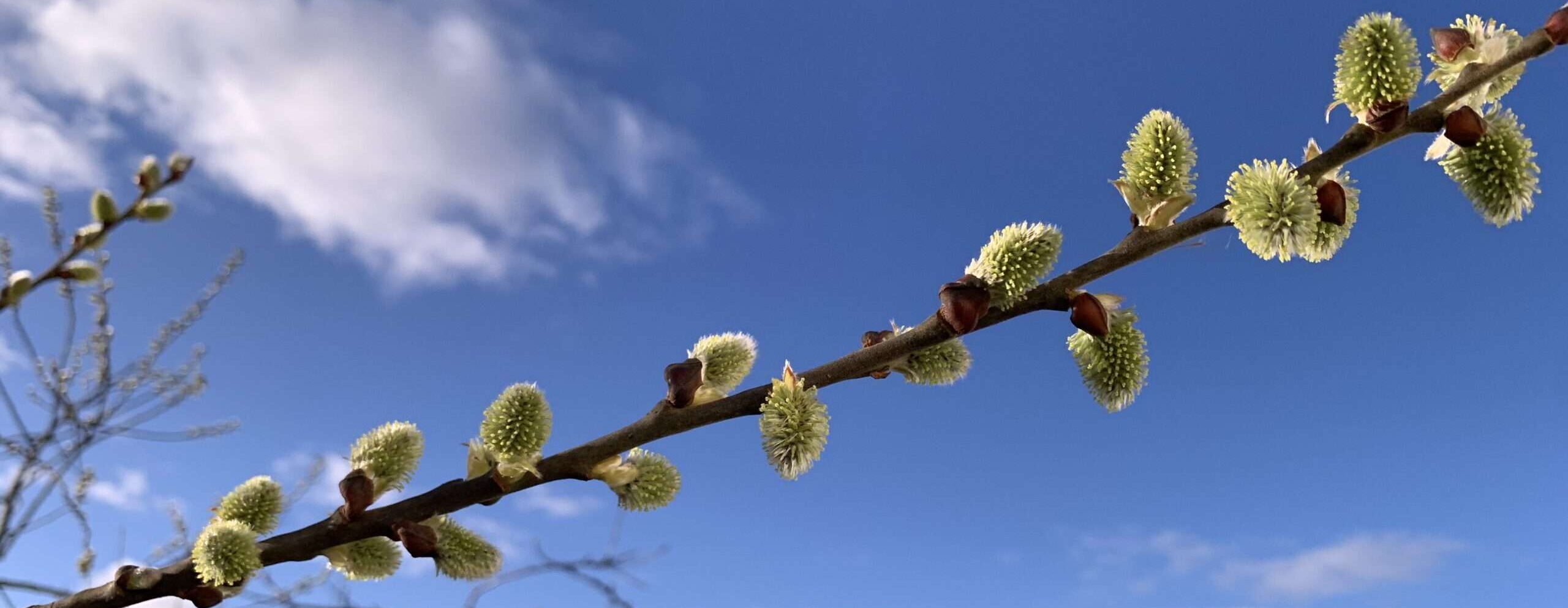 Gedicht: Deine Aufmerksamkeit kommt und geht, deine Heiterkeit besucht mich, und ich sehr plötzlich das Glück lächeln. Doch deine Liebe bleibt weg.