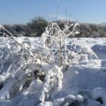 Tanzende Ballerinen sind schön. Aber auch solche aus Schnee, am Ende der Welt. Hier zu sein fällt bei aller Schönheit des Schnees schwer.