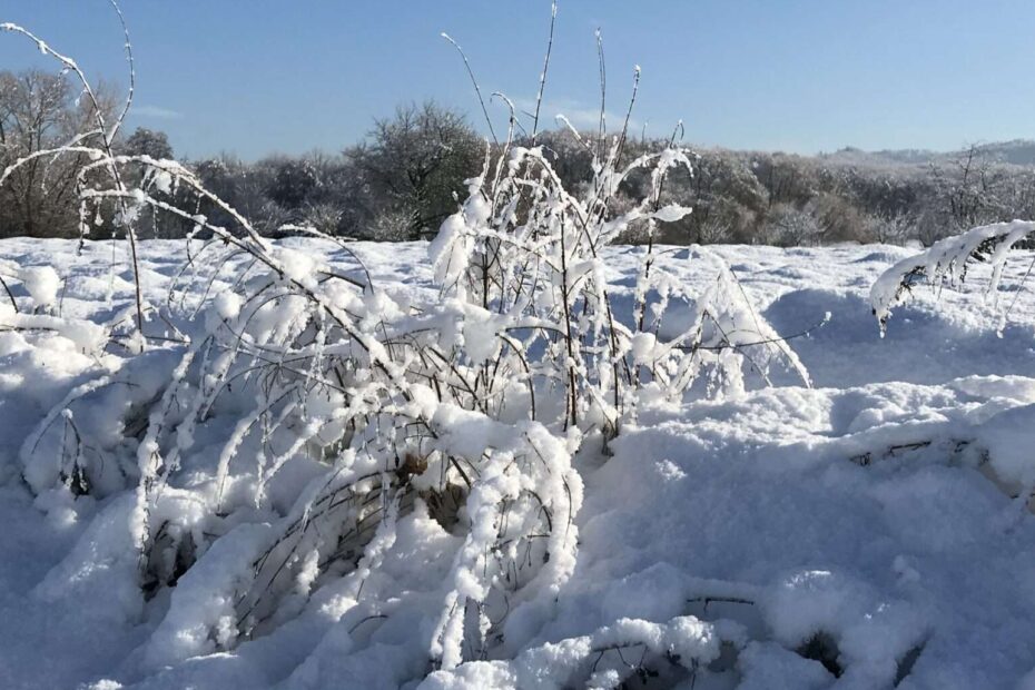 Tanzende Ballerinen sind schön. Aber auch solche aus Schnee, am Ende der Welt. Hier zu sein fällt bei aller Schönheit des Schnees schwer.