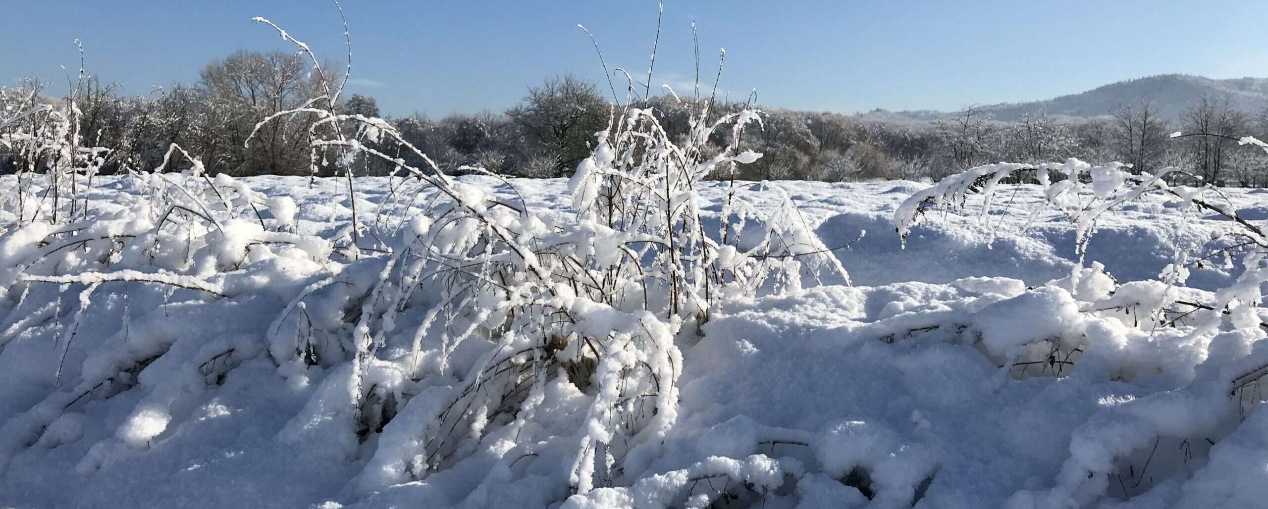 Tanzende Ballerinen sind schön. Aber auch solche aus Schnee, am Ende der Welt. Hier zu sein fällt bei aller Schönheit des Schnees schwer.