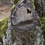 Gedicht: Du kannst erzählen, was Du willst. Du kannst mir von Liebe schwärmen und deinen Gefühlen zu mir. Ich warte ab. Wie die Spinne in ihrem Netz.