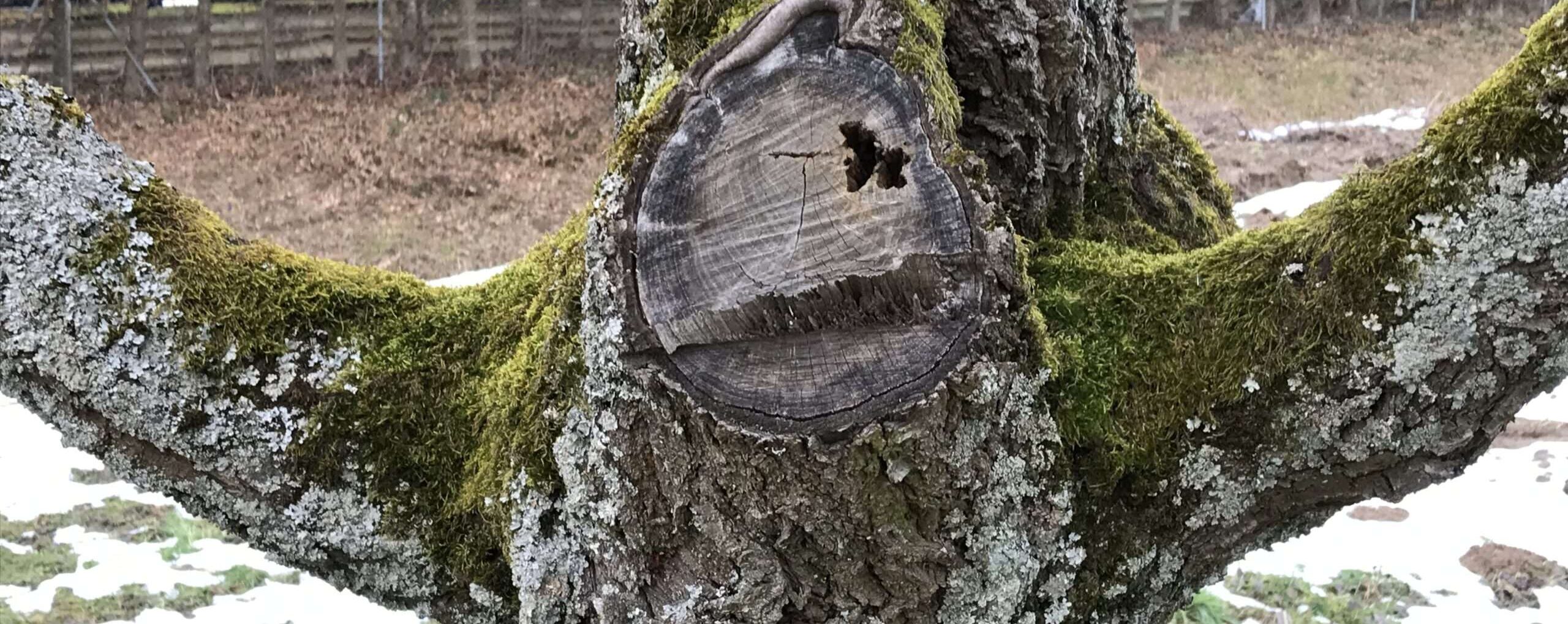 Gedicht: Du kannst erzählen, was Du willst. Du kannst mir von Liebe schwärmen und deinen Gefühlen zu mir. Ich warte ab. Wie die Spinne in ihrem Netz.