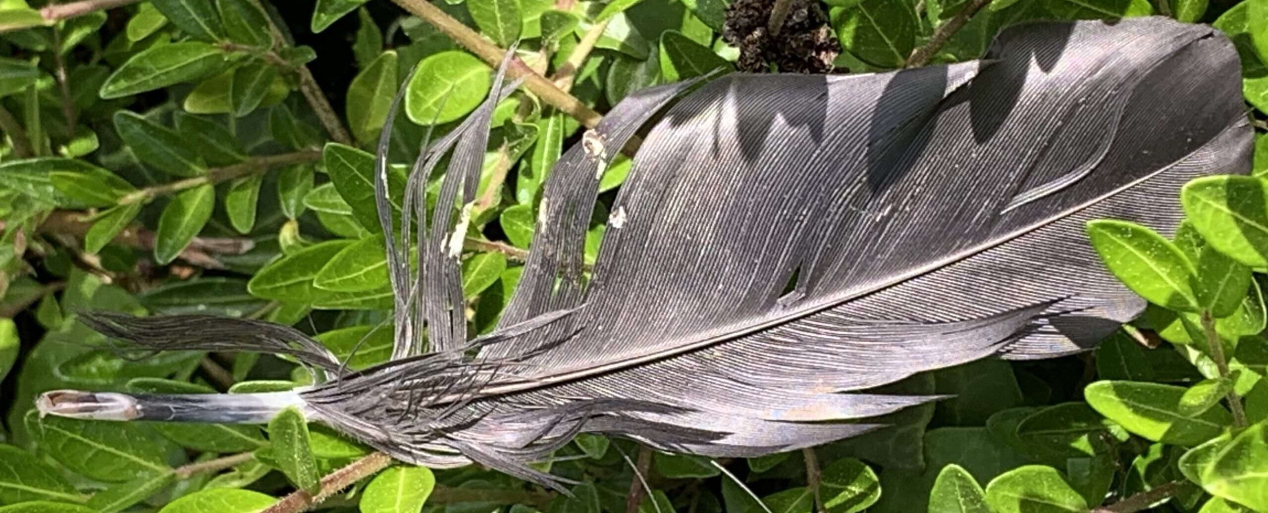 Gedicht: Alls schwarz? Oder noch schwärzer? Das Leben ist leer und sinnlos, Angst überall? Durchschreite den Nebel, küsse den Himmel, er rettet Dich.