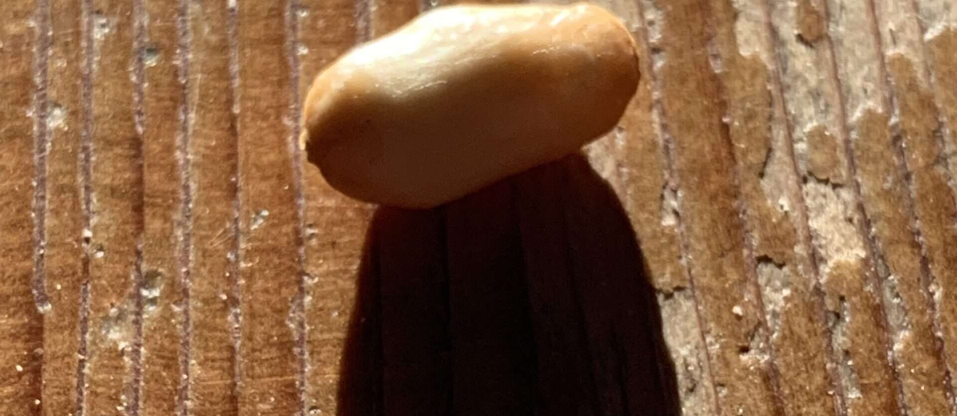 Gedicht: Tief in den Schlaf versunken, erkenne ich die Weite von Kontinenten und die Enge eines Mäuselochs. Erinnerungen und Möglichkeiten umtanzen mich.