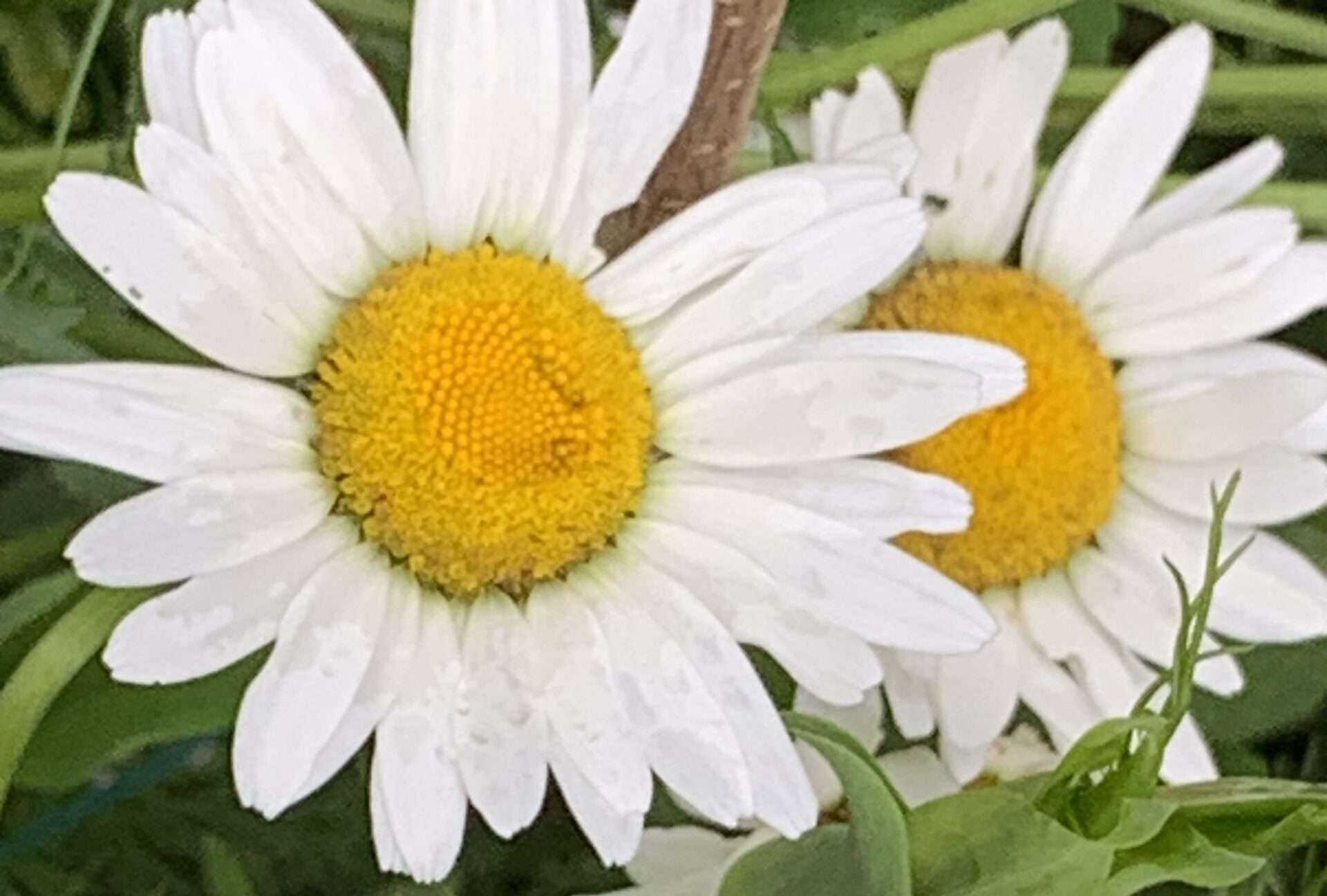 Gedicht: Lost a lot, even almost everything. But the most bitter thing: I lost you in the battle of love. And I've chosen away GOD in the madness of my laughter.