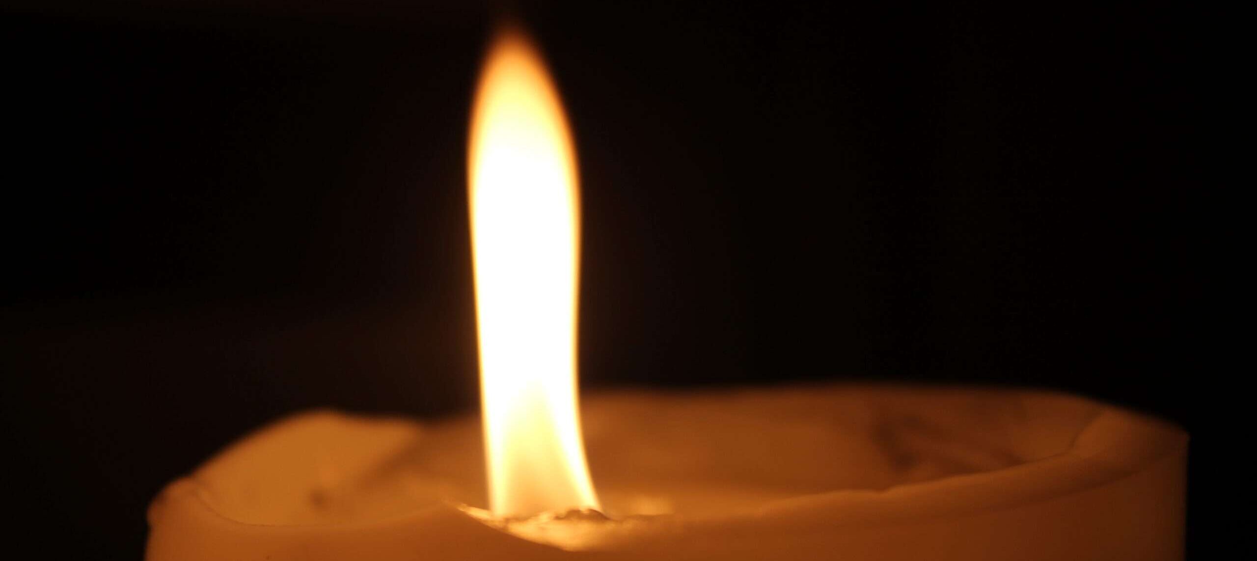 Um uns hektischer Stillstand. Nichts geschieht. Das ist Schicksal. Also sind wir einsame Wölfe auf dem Weg ins brennende Nichts. Gedicht