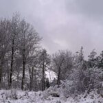 Gedicht: Ich nehme die Liebe huckepack, die Du nicht willst und forme aus Wörtern, die Du verachtest, ein Gedicht. Mein eiskaltes Herz taut.