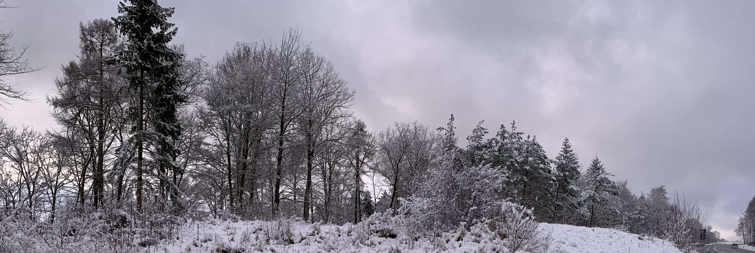 Gedicht: Ich nehme die Liebe huckepack, die Du nicht willst und forme aus Wörtern, die Du verachtest, ein Gedicht. Mein eiskaltes Herz taut.
