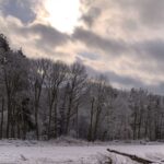 Liebe in der Bärenhöhle Gedicht: Ich hätte Dich gerne in meine Träume verwoben. Mit Dir einen kalten Winter in der warmen Bärenhöhle verbracht. Doch Du flohst auf der tönernen Sphinx.