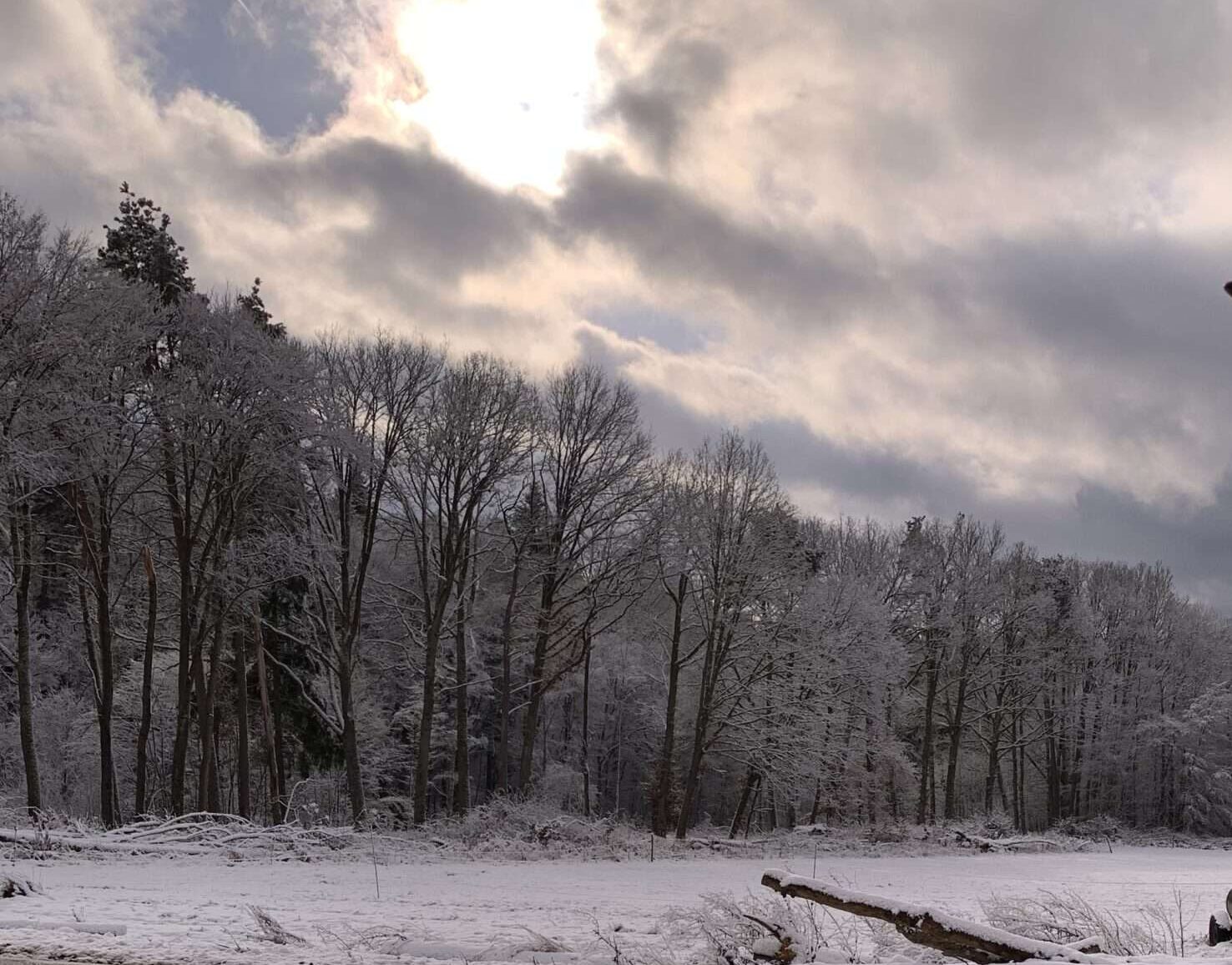 Gedicht: Ich hätte Dich gerne in meine Träume verwoben. Mit Dir einen kalten Winter in der warmen Bärenhöhle verbracht. Doch Du flohst auf der tönernen Sphinx.