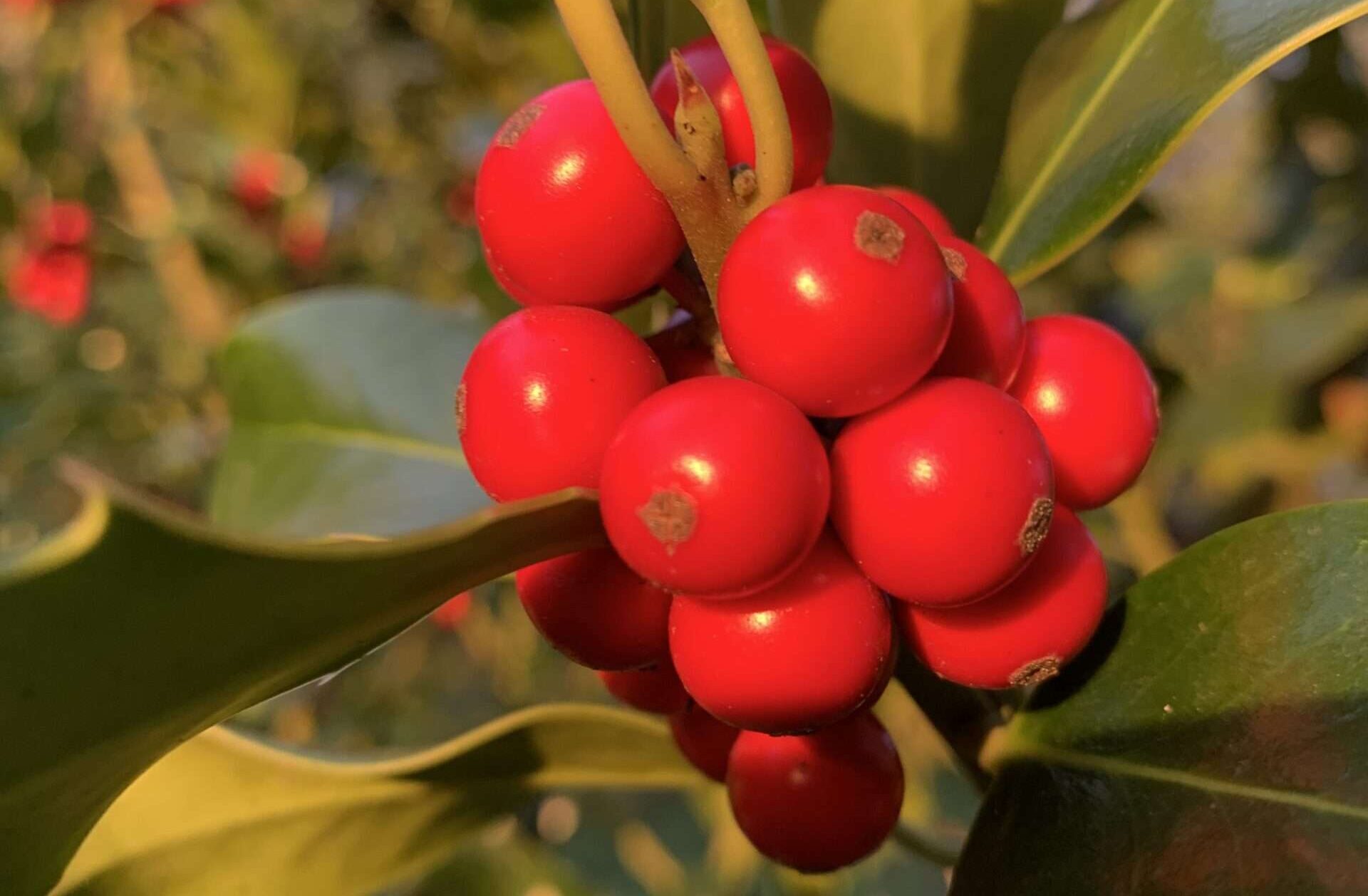 Gedicht: Ist nach 35 Jahren, heimlich, die Liebe noch da? Müsste da nicht mehr passieren, um sie wieder zu entfachen? Als eine nichtssagende Mail...