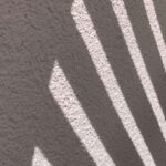 Gedicht: Du bist frei, Du fliegst mit dem Wind oder sogar auf dem Wind. Doch Deine Schwingen sind verletzlich, und dort vorne ist Feuer! Klaus Krüger