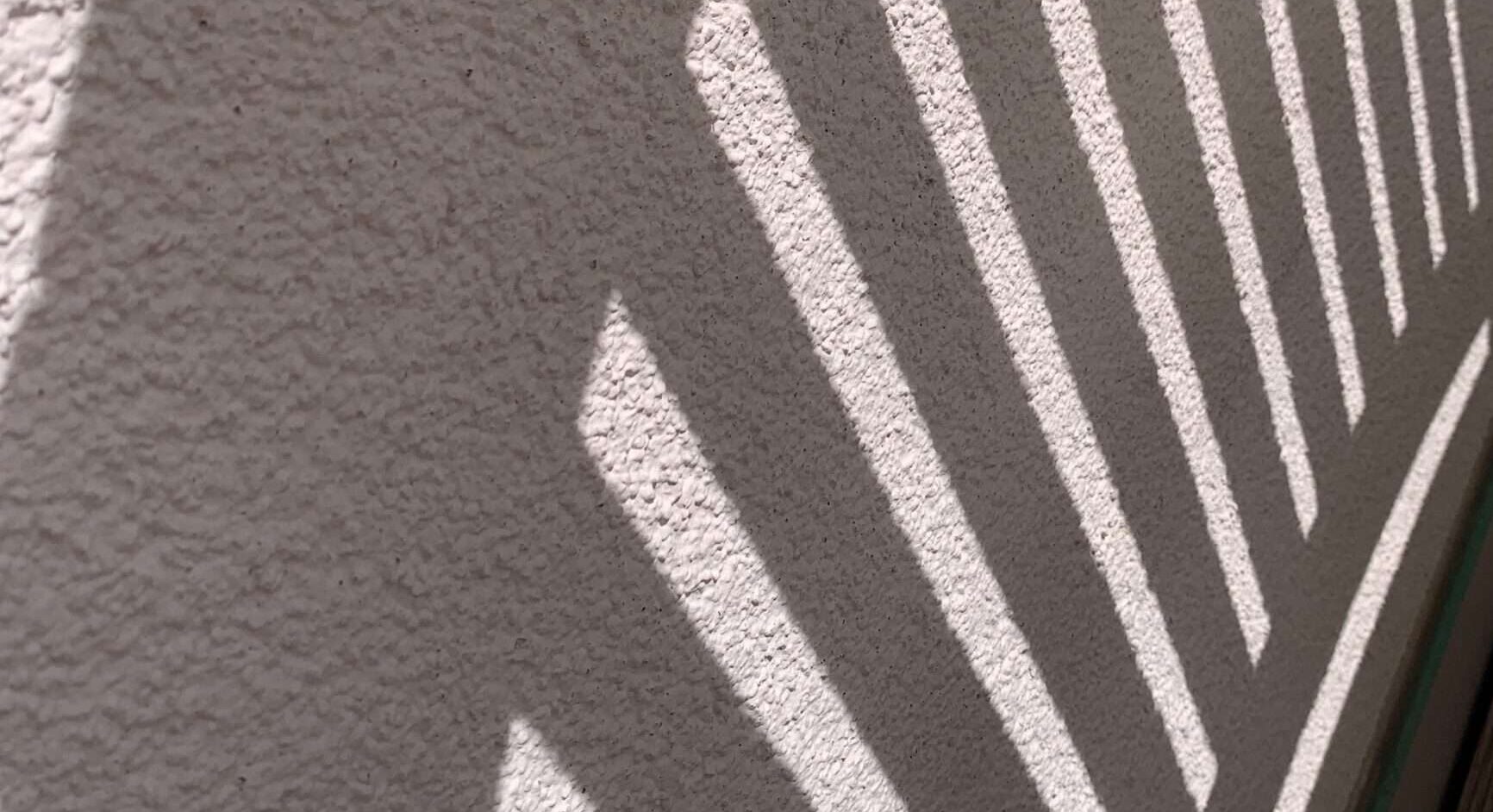 Gedicht: Du bist frei, Du fliegst mit dem Wind oder sogar auf dem Wind. Doch Deine Schwingen sind verletzlich, und dort vorne ist Feuer! Klaus Krüger