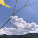 Gedicht: Glück soll leicht zu uns kommen, aber wenn das Glück leicht ist, fliegt es schnell wieder davon. Was bleibt dann? Trauer? Wolken?