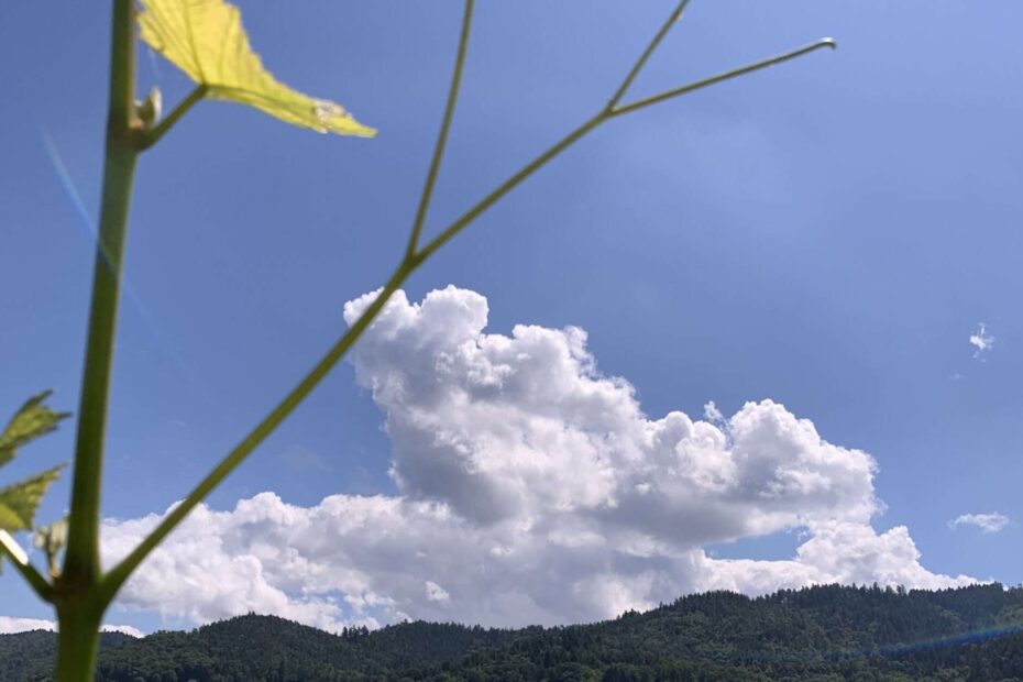 Gedicht: Glück soll leicht zu uns kommen, aber wenn das Glück leicht ist, fliegt es schnell wieder davon. Was bleibt dann? Trauer? Wolken?