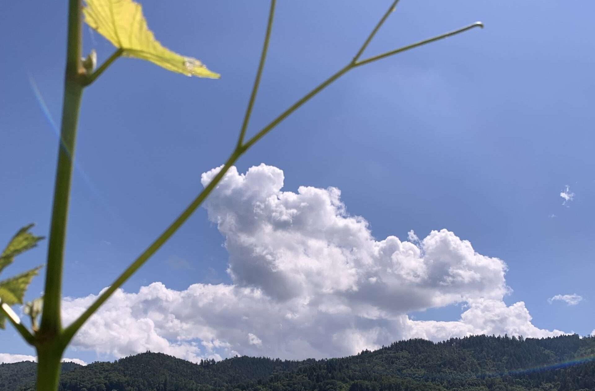 Gedicht: Glück soll leicht zu uns kommen, aber wenn das Glück leicht ist, fliegt es schnell wieder davon. Was bleibt dann? Trauer? Wolken?