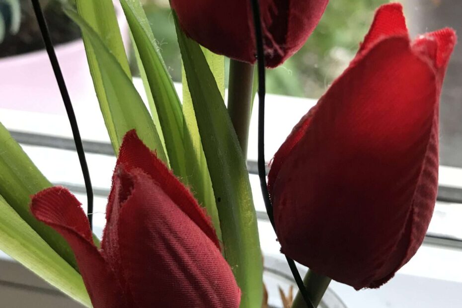 Gedicht: Kalter Regen ist lästig und kann einem die Laune verderben. Doch wenn du plötzlich Blumen siehst, im Regen, etwa das tiefe Rot der Tulpen, ändert sich alles.