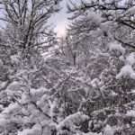 Gedicht: Die Zuversicht hat mich fallen lassen, jäh, unerwartet, ich bin aus den Wolken gefallen und warte auf den Frost, der herankriecht.