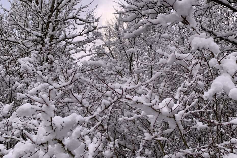 Gedicht: Die Zuversicht hat mich fallen lassen, jäh, unerwartet, ich bin aus den Wolken gefallen und warte auf den Frost, der herankriecht.