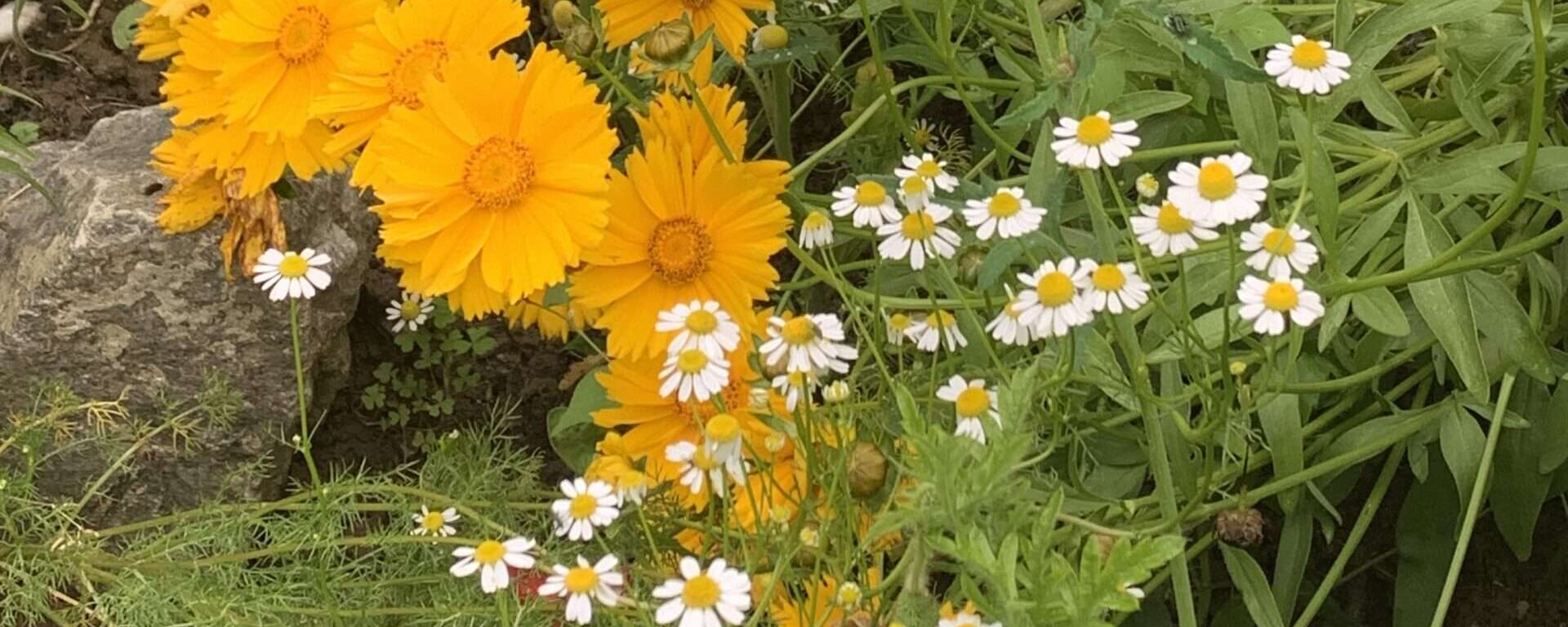 Gedicht: Liebe, sagt der alte Mann, ist nur eine Illusion. Oder eine Fehlschaltung im Gehirn. Liebe ist mehr, erwidere ich, Liebe schmerzt, wenn sie fehlt.