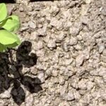 Gedicht: Auch, wenn es heiß ist, es gibt kleine Inseln der Kühle. Und es gibt Inseln, auf denen ich immer sein möchte, vor allem mit Dir.