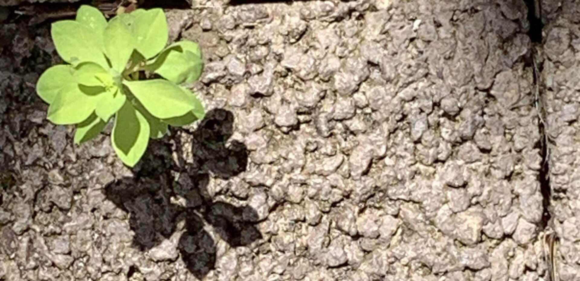 No-Haiku: Hab Sehnsucht Gedicht: Auch, wenn es heiß ist, es gibt kleine Inseln der Kühle. Und es gibt Inseln, auf denen ich immer sein möchte, vor allem mit Dir.