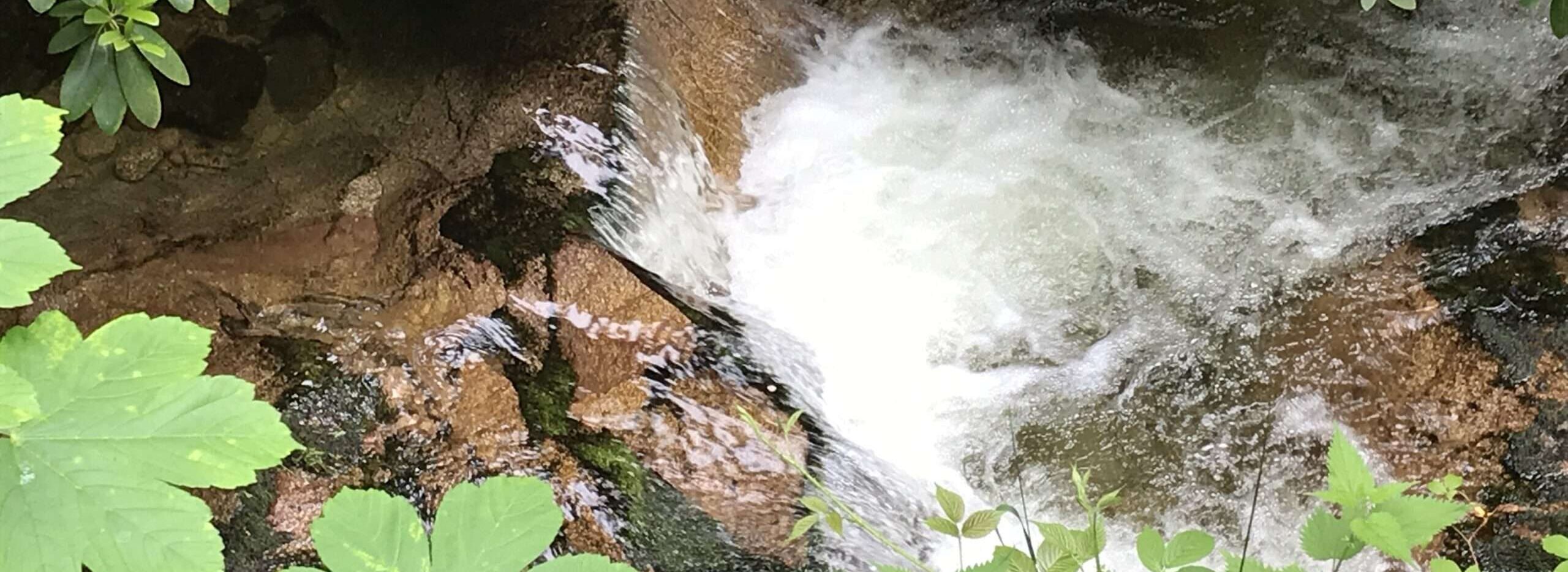 No-Haiku: Ewig Du Gedicht: Was bleibt? Der Sonnenstrahl auf dem Wasser vielleicht. Und Du ganz sicher, wenn Du so bist wie der Sonnenstrahl auf dem Wasser.