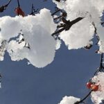 Gedicht: Manchmal sind wir ganz zufrieden mit unserem Leben, denken an nichts Böses. Es könnte so weitergehen. Doch plötzlich kommt alles anders.