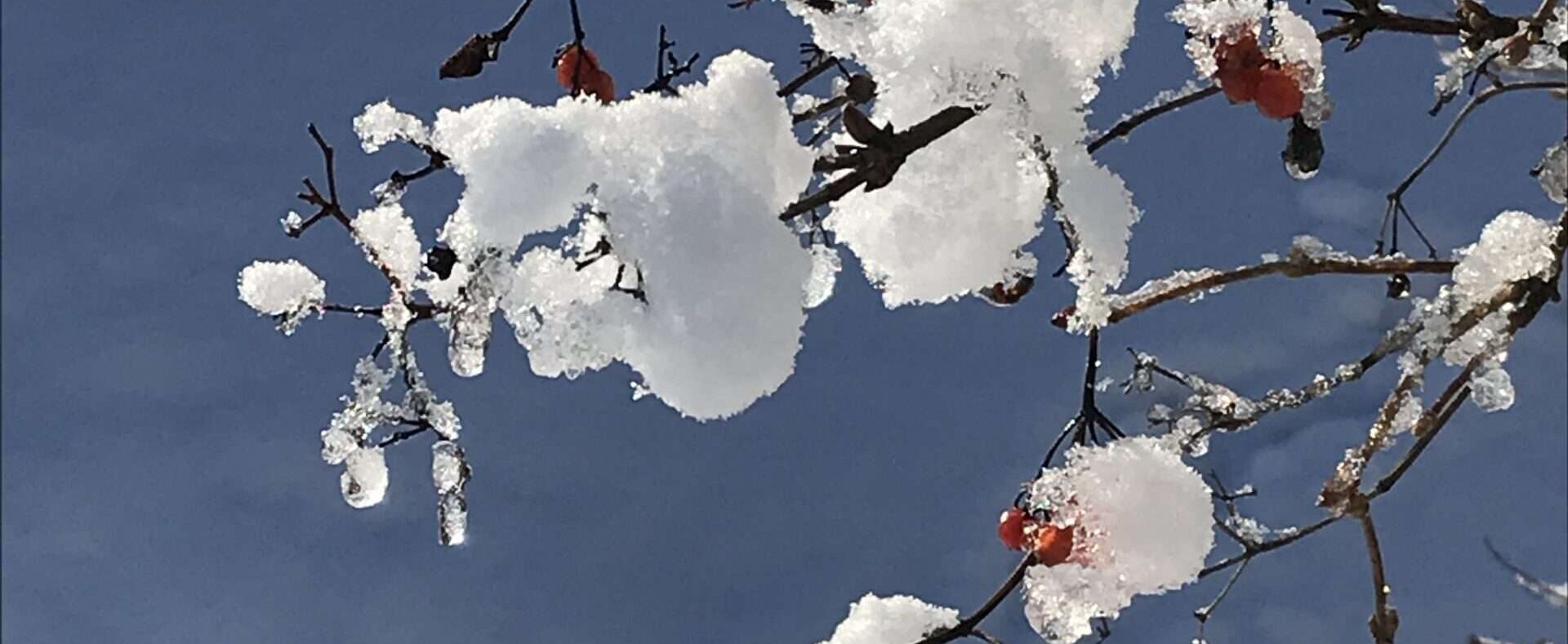 Gedicht: Manchmal sind wir ganz zufrieden mit unserem Leben, denken an nichts Böses. Es könnte so weitergehen. Doch plötzlich kommt alles anders.