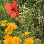 Gedicht: Manchmal reicht ein Lächeln, um uns dem Himmel nahe sein zu lassen. Wir sehen eine Zeit, in der wir verschmelzen werden. Das Lächeln kommt von Dir.