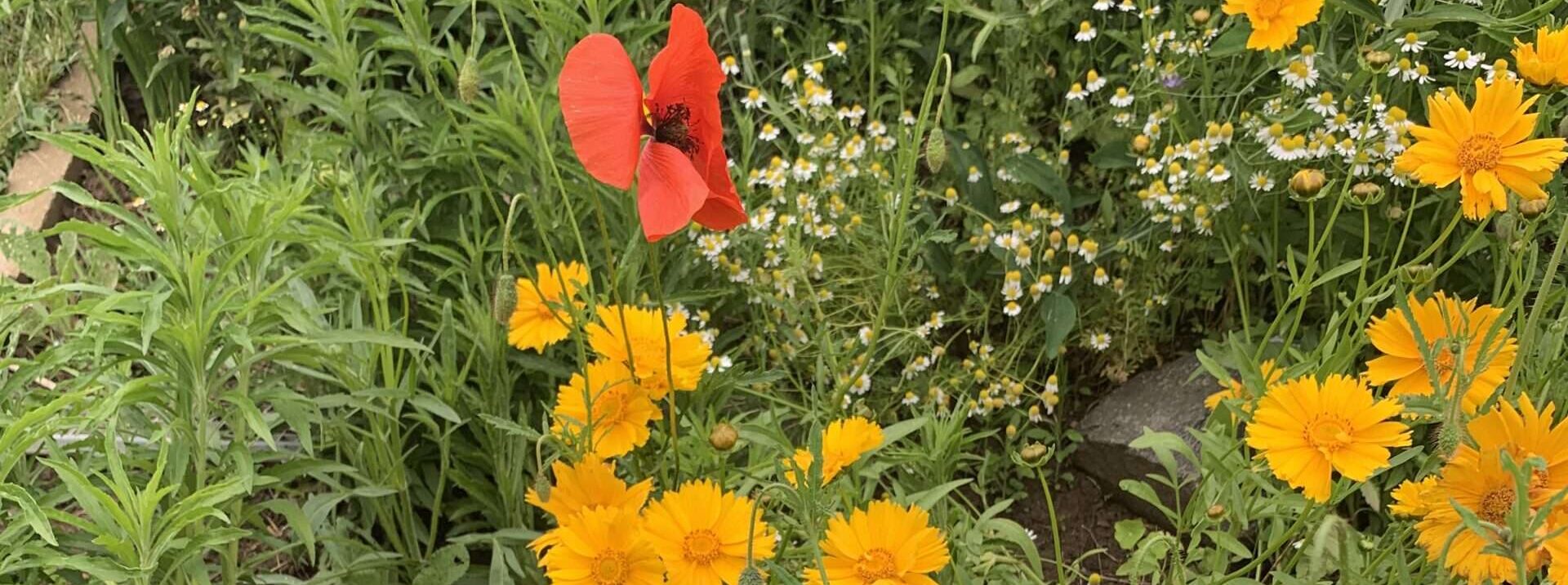 Dein Lächeln Gedicht: Manchmal reicht ein Lächeln, um uns dem Himmel nahe sein zu lassen. Wir sehen eine Zeit, in der wir verschmelzen werden. Das Lächeln kommt von Dir.