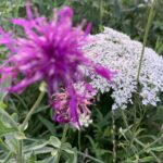 Kerstin Surra, Katharina Ende, Amora, Die verlorene Stadt Rezension: Fantasy von ihrer besten Seite: Kerstin Surra, Katharina Ende, Amora, Die verlorene Stadt zeigt uns ein spannendes Abenteuer mit sympathischen Figuren.