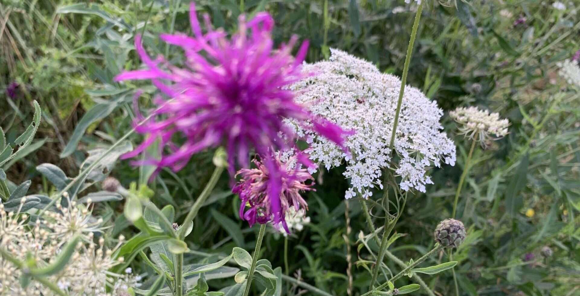 Kerstin Surra, Katharina Ende, Amora, Die verlorene Stadt Rezension: Fantasy von ihrer besten Seite: Kerstin Surra, Katharina Ende, Amora, Die verlorene Stadt zeigt uns ein spannendes Abenteuer mit sympathischen Figuren.