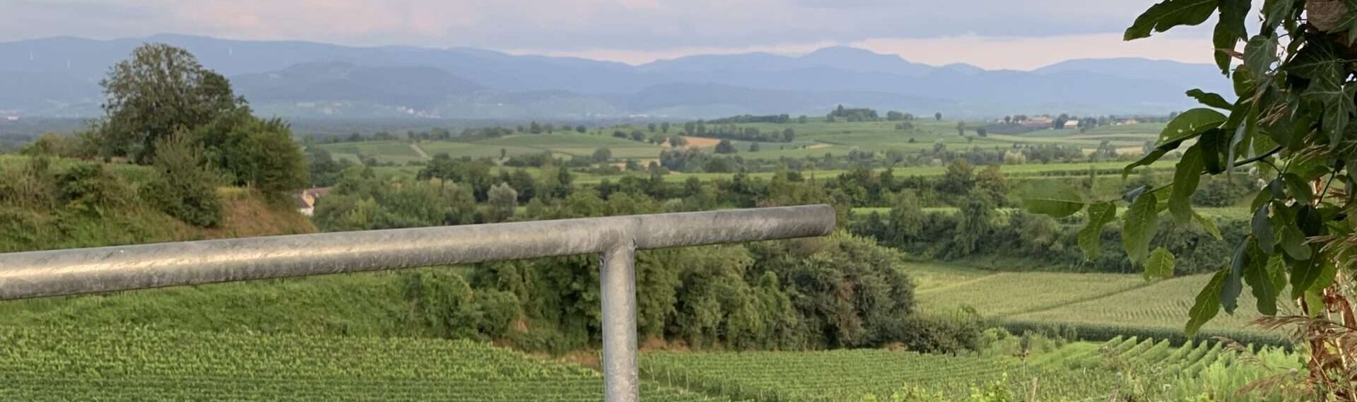 Gedicht: Traumorte: Die Himmelsliege über den Reben. Hier liegen wir, kuscheln und schauen in den Schwarzwald hinein. Hier sind wir zu Hause.