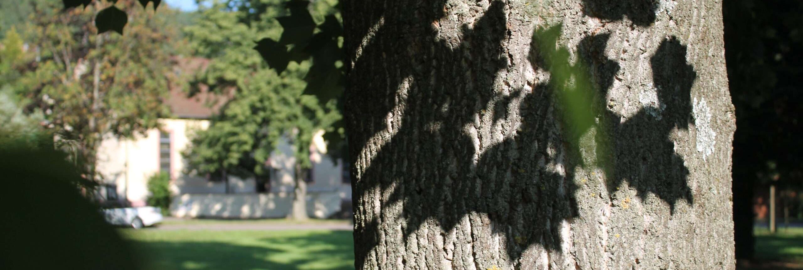 Gedicht: Lösen wir jedes Rätsel? Oder bleiben manche auch am Ende des Nachdenkens übrig? Was haben Frauen mit Liedern zu tun?
