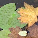 Gedicht: Wie sieht der Schrecken aus? Den großmäuligen, den lauten kennen wir. Was aber ist mit dem leisen, dem, der wirklich ins Gebein kriecht?