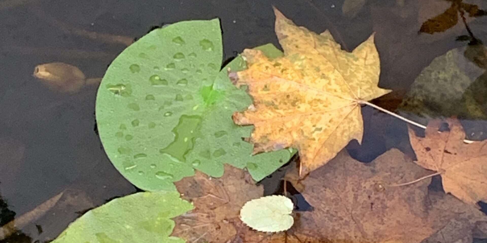 Gedicht: Wie sieht der Schrecken aus? Den großmäuligen, den lauten kennen wir. Was aber ist mit dem leisen, dem, der wirklich ins Gebein kriecht?