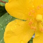 Gedicht: Was planen wir nicht alles im Leben. Und was passiert? Wenig, und wenn was geht, dann oft das Gegenteil oder zumindest was ganz anderes als geplant.